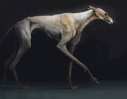 Demon Hound On Behance Dog Illustration Art Creature Concept Art Creature Art