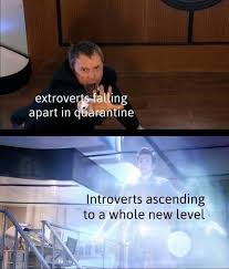 744 x 537 jpeg 83kb. A Meme About How Introverts And Extroverts Are Handling The Lockdown A Journal Of The Plague Year Covid 19 Archive