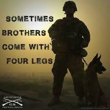 Malinois Military Working Dogs Dog Soldiers Dog Hero