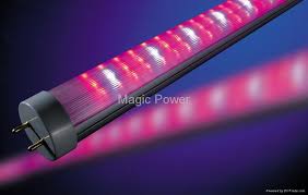 T8 led plant grow light. T8 18w Young Plant Grow Light Led Plant Grow Light T8 Grow Light Mp T8 18w Magic Power Hong Kong Manufacturer Other Electrical