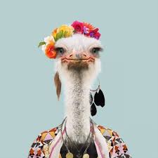 Zoo Portraits Pictures Facts And Curiosities About Animals Animal Posters Animal Art Animal Paintings