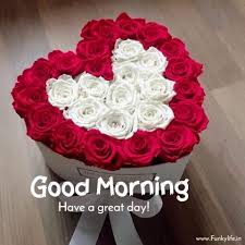 Maybe you would like to learn more about one of these? 250 Good Morning Images Pictures Beautiful Morning Wishes 2021