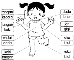 Tema keluarga sakinah, sub tema anggota keluarga. 23 Language Bahasa Melayu Ideas School Kids Activities Kindergarten Reading Worksheets Preschool Learning Activities