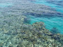 Now $385 (was $̶5̶1̶0̶) on tripadvisor: Eilat Beach The Best Beaches In Eilat