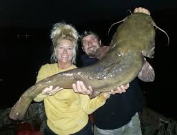 Catfish Of Pennsylvania Stonecats Madtoms Bullheads Pennlive Com