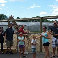 The moose is arguably the most iconic and majestic adirondack animal. Adirondack Animal Land 5 Tips From 187 Visitors