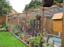 Outdoor Cat House Outdoor Cat Enclosure Cat Playground