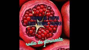 De asemenea, sucul de sfecla rosie prezinta proprietati antioxidante, eliminand eficient radicalii liberi din organism, impiedicand imbatranirea prematura bun pentru persoane de toate varstele, fara efecte adverse sau contraindicatii, sucul de sfecta rosie reprezinta doza de sanatate, de care ar trebui sa. Rodia De Dimineata Testimonial Youtube