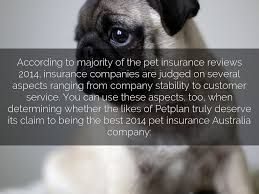 Maybe you would like to learn more about one of these? The Best Pet Insurance In Australia By Petplanpro