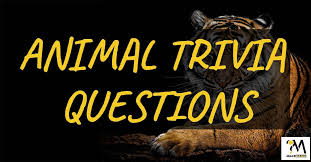 What is the fastest bird in the world? Best Animal Trivia Questions And Answers Quesmania