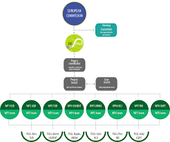 Organizational Structure Repair Project