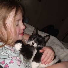 GreenhillHumaneSociety