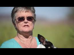 Bone and Joint Services