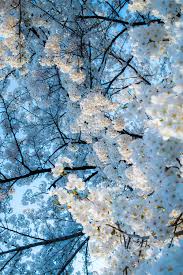 We It Nature Photography Nature Pictures Beautiful Nature