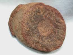 Image result for Cyphia mazoensis