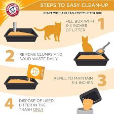 Cats Pride Unscented Total Odor Control Multi-Cat Clumping Litter, 15 Lb |  Meijer