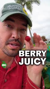 We’ve learned two simple ways to grow bigger strawberries and keep them  coming longer through the season. These methods might seem a bit unusual,  but they’ve worked well for us over time., The first ...