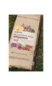 Above the original soil level is the simplest way to give these plants the conditions they need. Question On Soil For Raised Bed