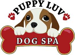 Whether you have a dog, puppy, or cat that needs grooming, we'll find you the best local pet groomers on bark. Full Service Dog Bathing Grooming