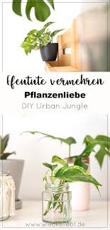 Efeutute Vermehren Und Pflegen Diy Urban Jungle Diy Blog Do It Yourself Anleitungen Zum Selbermachen Wiebkeliebt In 2020 Efeutute Vermehren Pflanzen Efeutute
