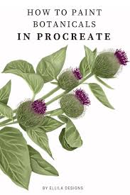 This Video Shows You How This Botanical Illustration Is Made In Procreate Timelapse Botanical Procreate Procreate Procreate Ipad Art Botanical Illustration