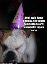 Paper is easy to write on and won't smudge. Happy Birthday Quotes For Dogs Quotesgram