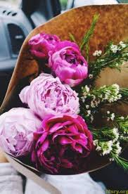 صور ورد مبهجة بالوان جميلة 2019 تريح القلب وزهور رومانسية للمرتبطين موقع مصري Flowers Flower Garden Beautiful Flowers