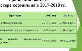 Kakoj Razmer U Pensii Po Potere Kormilca V Godu Pravovoj Sovet Yandeks Dzen