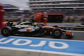 Ivy wren threesome baby SWEET has a SWEET personality as