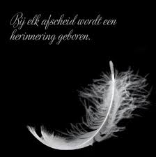Moderne Condoleance Kaart Met Een Mooie Foto Van Een Witte Veer Op Een Zwarte Achtergrond En Mooie Sierlijke Letters Witte Veren Kaarten Zwarte Achtergronden