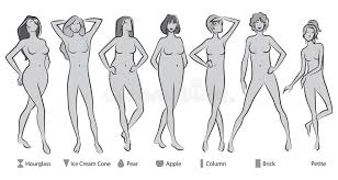 This diagram depicts picture of the female body 744×992 with parts and labels. Female Body Stock Illustrations 226 272 Female Body Stock Illustrations Vectors Clipart Dreamstime