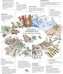 Source for information on mammals and humans: Insect Decline In The Anthropocene Death By A Thousand Cuts Pnas