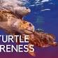Sea Turtle Awareness Specialty Course June 14