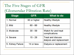 Acute renal failure is when a person's kidneys are not working as well as they once did. Chronic Kidney Disease Ckd My Doctor Online