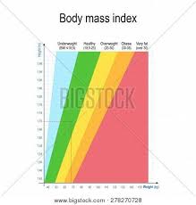 Body Mass Index Bmi Vector Photo Free Trial Bigstock