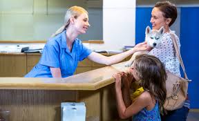 Petsmart Pet Insurance From Banfield 2021 Review Is It Worth The Cost