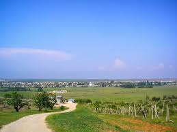 Up and running in 5 minutes. Wilino Belarus Landschaft Kostenloses Foto Auf Pixabay