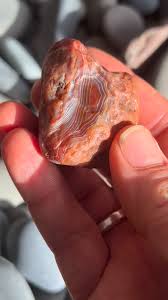 Image result for Colorado Agate 1956 Wayne Works