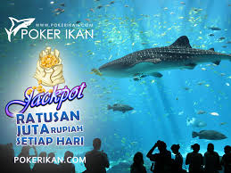 Pin On Pokerikan Com Agen Game Texas Poker Private Table Resmi Uang Asli Depo Minim