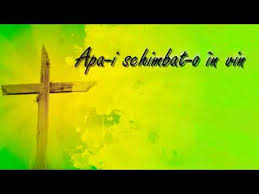Apa i schimbat o in vin mp3. Teoria De BazÄ JucÄtor ServeÅ£el Apa Schimbata In Vin Escapeiasi Ro