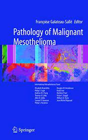 Read more about what it is, the different types and stages it has, the treatments available and how to cope with your diagnosis. Pathology Of Malignant Mesothelioma Kindle Edition By Galateau Salle Ed Francoise Galateau Salle Francoise Professional Technical Kindle Ebooks Amazon Com