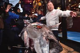 We did not find results for: Pilih Ikan Tuna Kualitas Bagus Sekarang Bisa Pakai Aplikasi Smartphone Halaman All Kompas Com