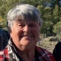 Marsha Taylor Wheeldon Pritzel Obituary (2023)