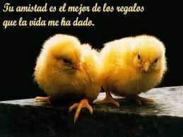 En alemania el día de la madre tiene lugar el segundo domingo del mes de mayo de cada año. Dia De La Amistad 2021 Imagenes Frases Para Felicitar Y Celebrar Todo Imagenes