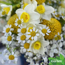 Pin On Gardening