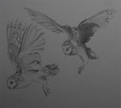 Flying Bird Of Paradise Drawing Owls In Flight Flying Bird Tattoo Flying Tattoo Owls Drawing