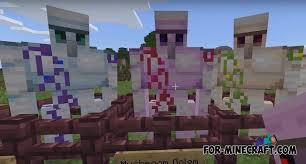They have cool abilities and all have there own . More Golems Addon For Minecraft Pe 1 14