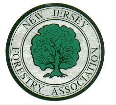Commercial Tree Services New Jersey Alpine Tree Service Morristown Nj
