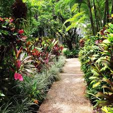 23 Likes 2 Comments Port Douglas Raw Materials Portdouglasrawmaterials On Instagram Mo Tropical Garden Design Tropical Garden Tropical Landscape Design