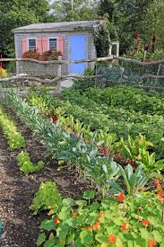 Vegetable Gardens 101 Truro Center For The Arts At Castle Hill